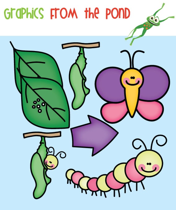 Butterfly Life Cycle Clipart.