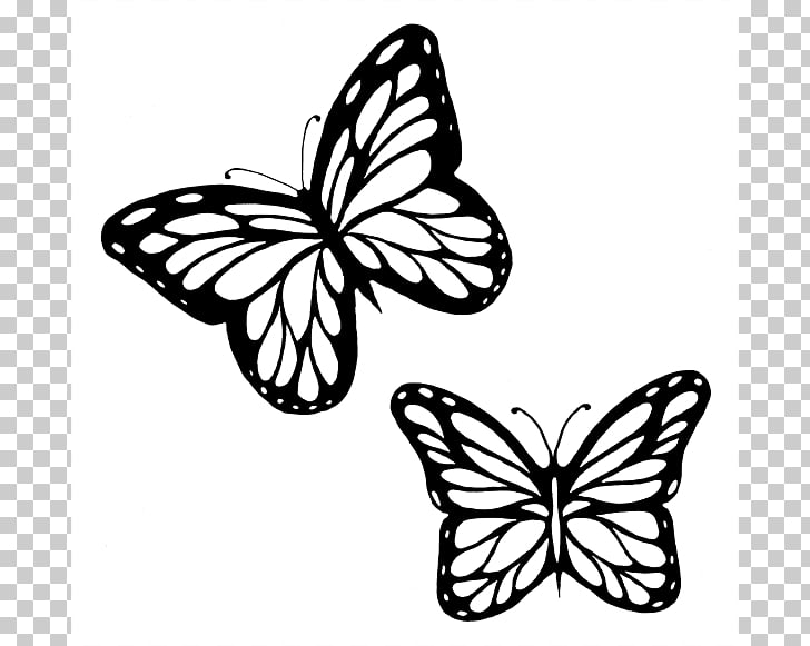 Monarch butterfly Outline Drawing , Butterflies Black And.