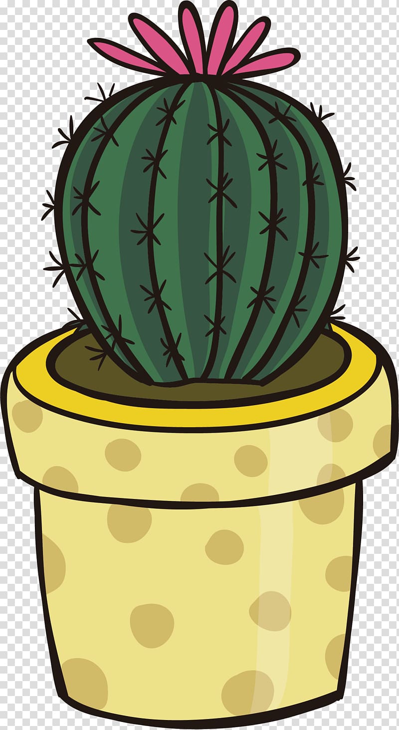 Cactus plant , Cactaceae , Cactus transparent background PNG.