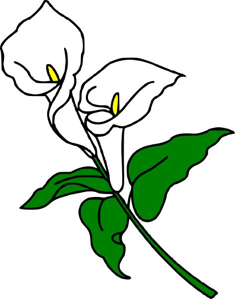 Calla Lily Clipart at GetDrawings.com.