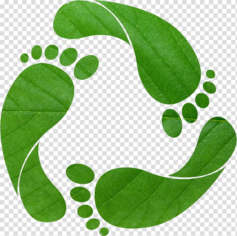 Earth Overshoot Day Ecological footprint Carbon footprint.