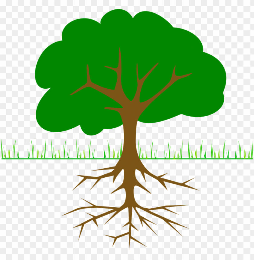 roots clipart tall tree stump.
