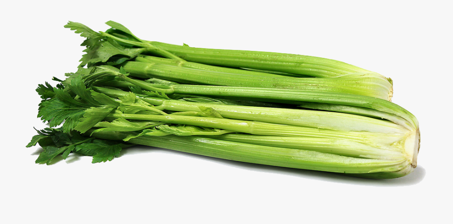 Download Celery Png Clipart.