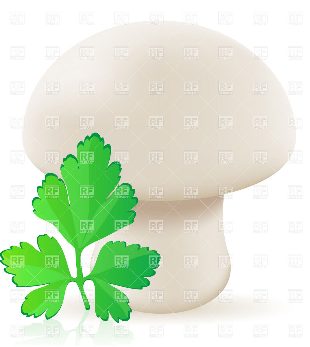Mushroom champignon Stock Vector Image.