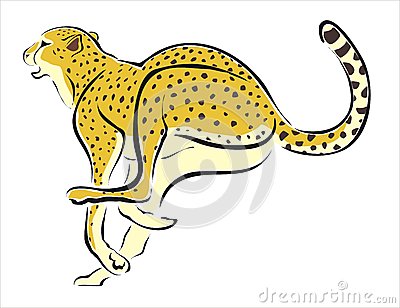 Showing post & media for Cheetah running cartoon.