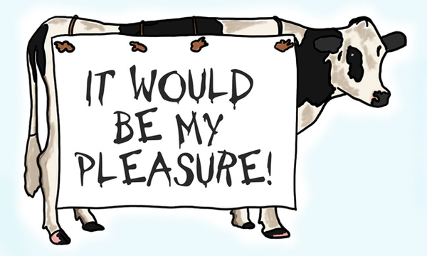 Chick Fil A Cow Clipart.