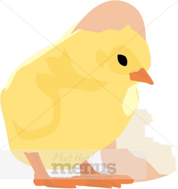 Chick Hatching Clipart.