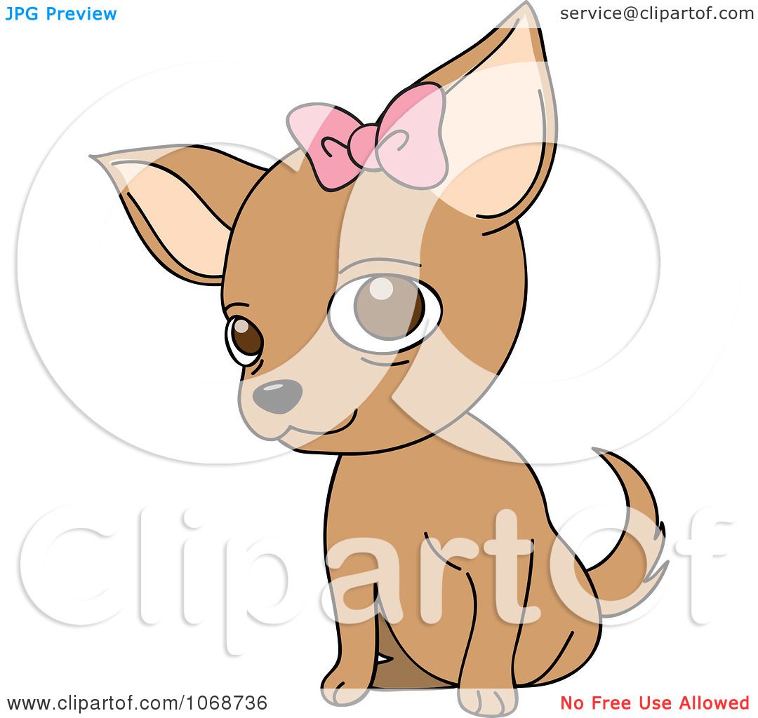 Clipart Female Chihuahua With A Bow.