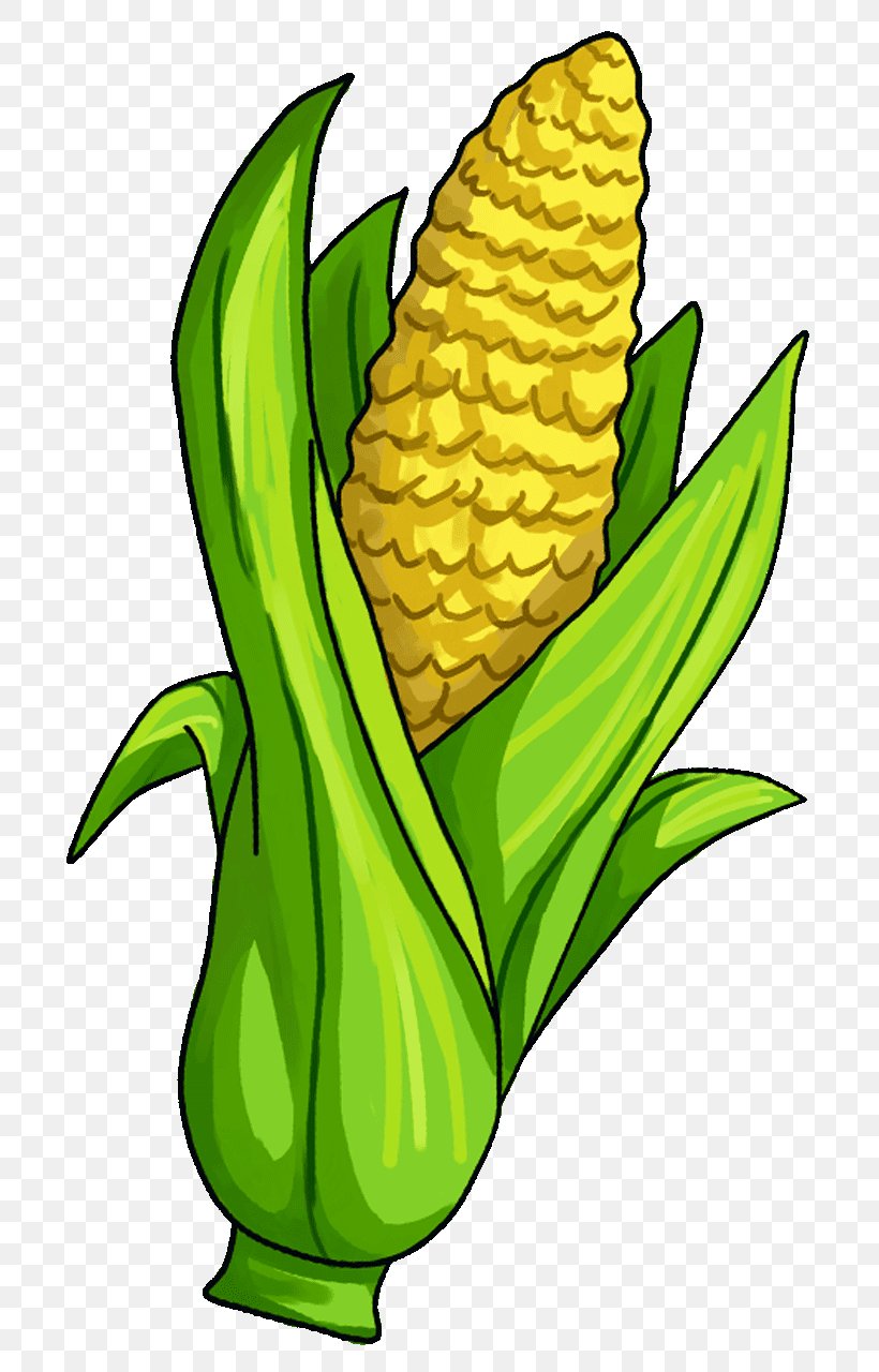 Corn On The Cob Candy Corn Maize Vegetable Clip Art, PNG.
