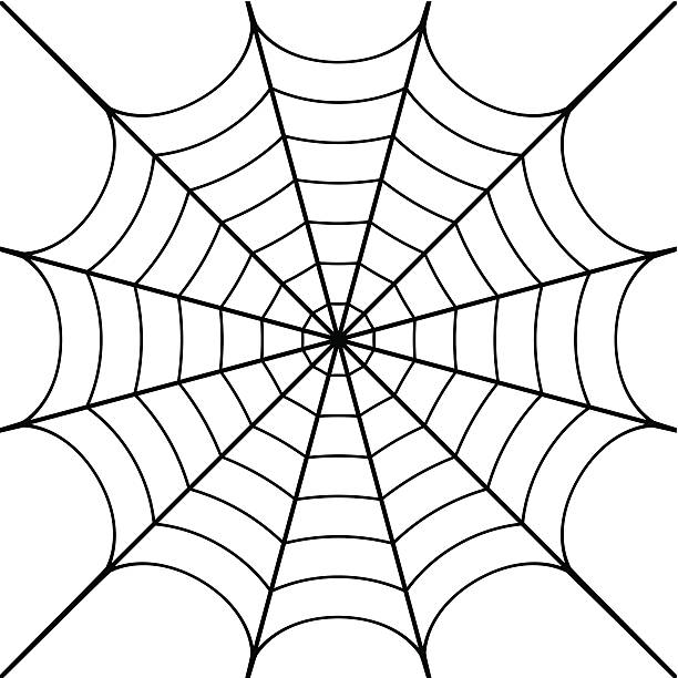 Best Spider Web Illustrations, Royalty.
