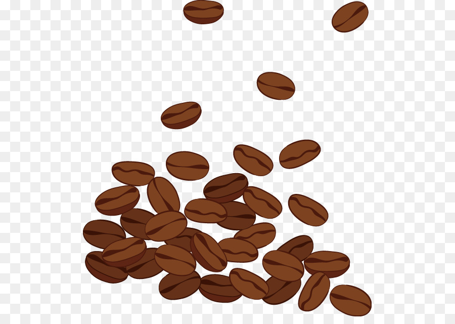 Bean Coffee clipart.