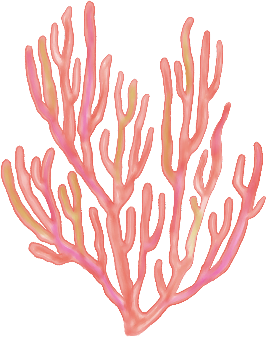 seaweed #coral #coralreefs #coralreef #sea #ocean.