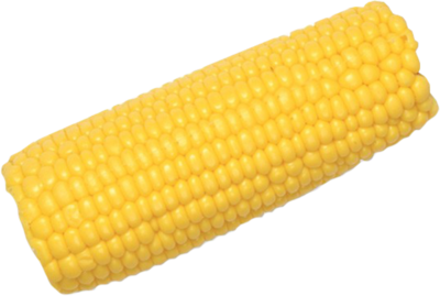 Download Corn Cob Clipart HQ PNG Image in different.