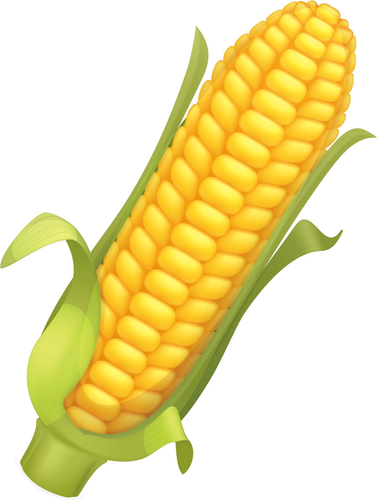 clipart corn cob 10 free Cliparts | Download images on Clipground 2024
