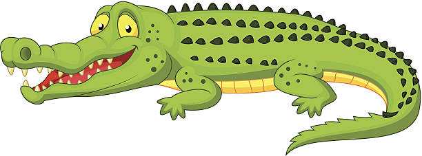 Best Crocodile Illustrations, Royalty.