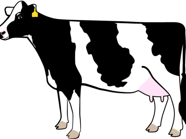 Dairy Cow Clipart , Transparent Cartoon.