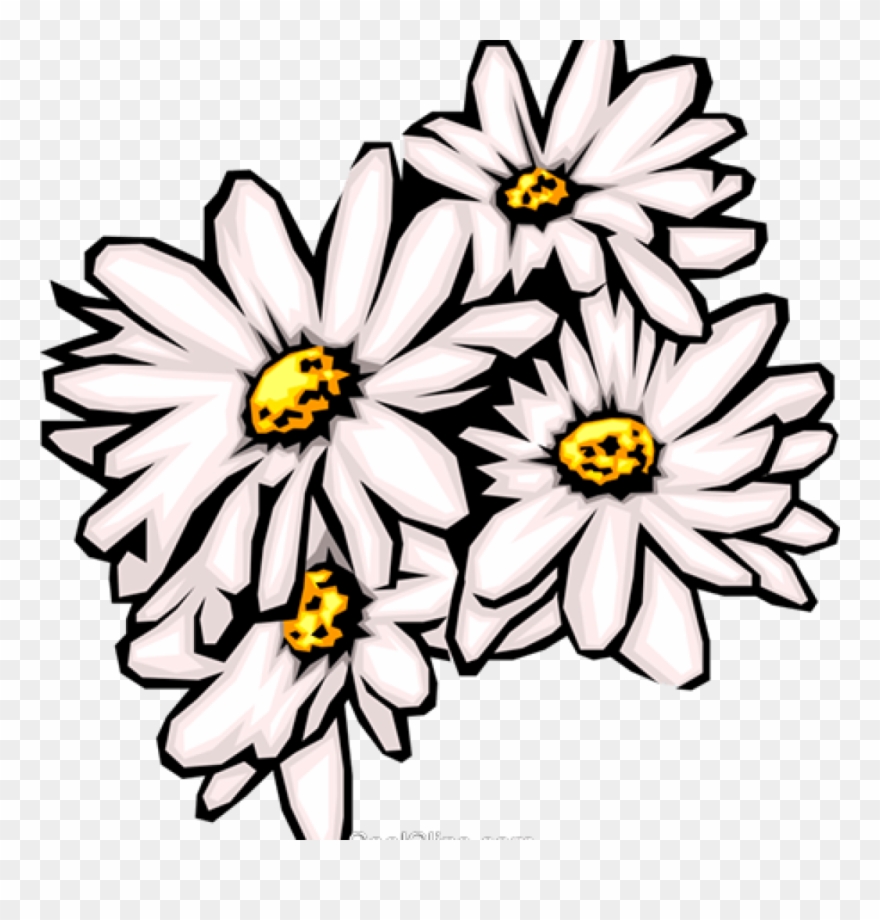 Daisies Clip Art Daisies Clipart Daisies Royalty Free.