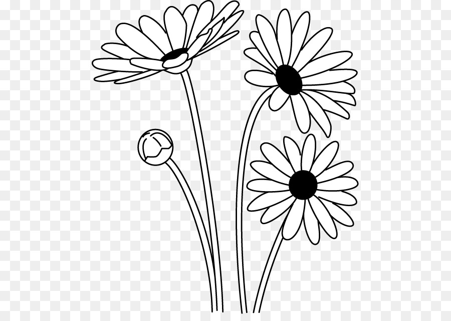 Black And White Flower png download.