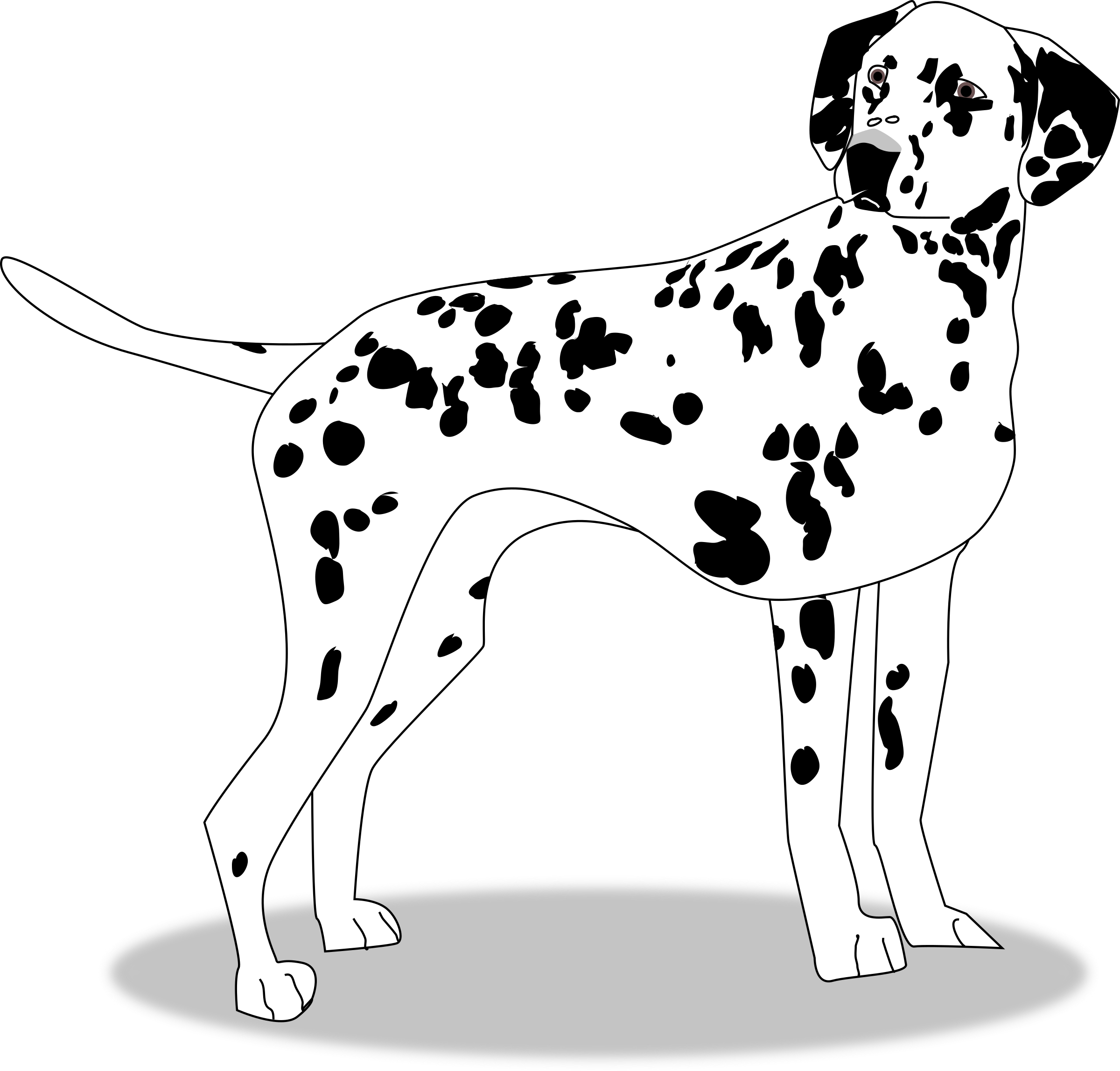 clipart-dalmatian-10-free-cliparts-download-images-on-clipground-2023