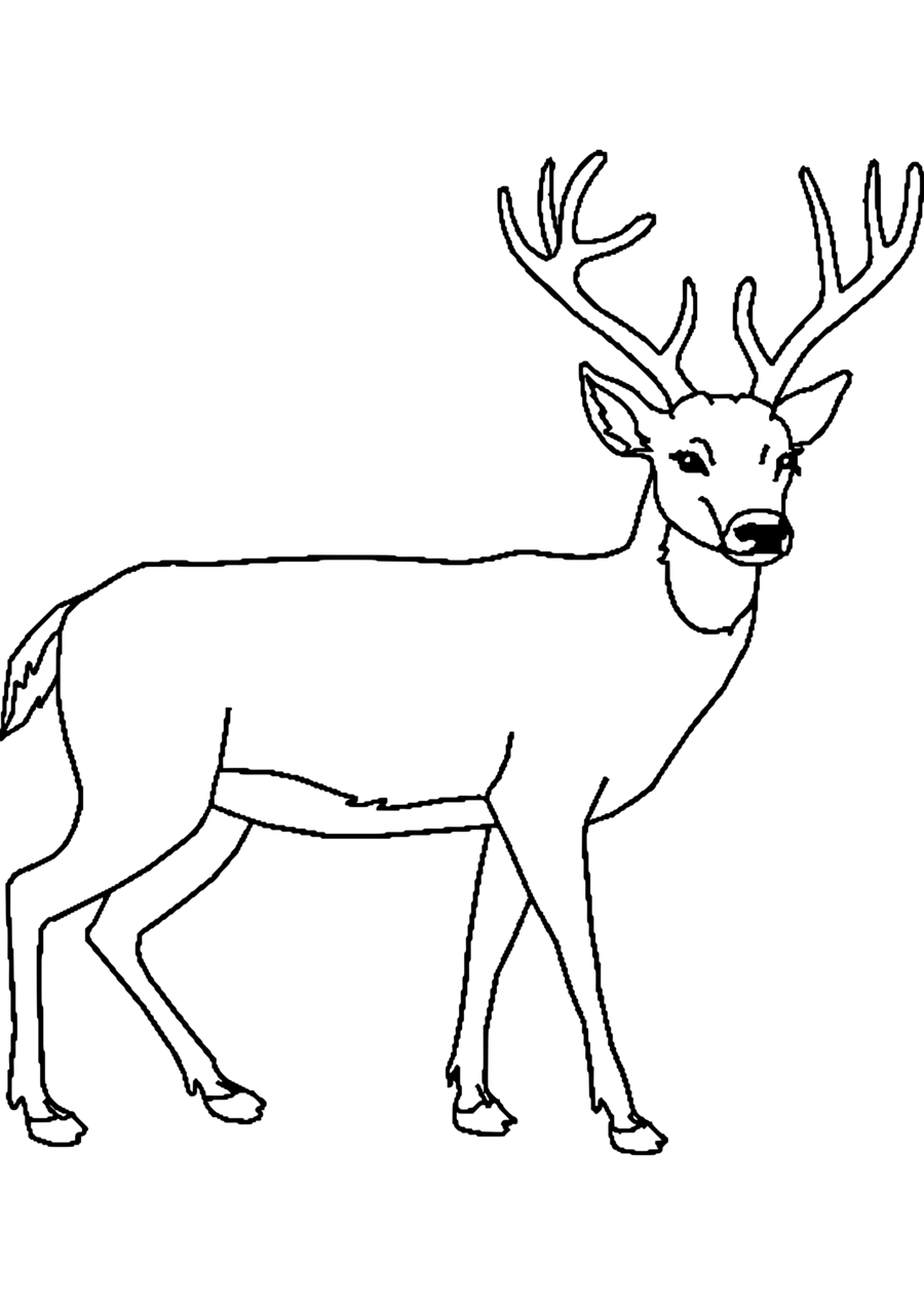 clipart deer black and white 10 free Cliparts | Download images on ...