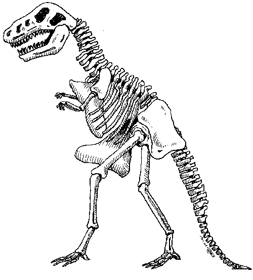 Dinosaur Bones Clipart Free.