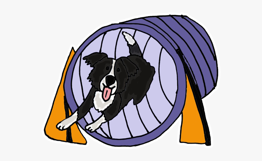 clipart dog agility 10 free Cliparts | Download images on Clipground 2021
