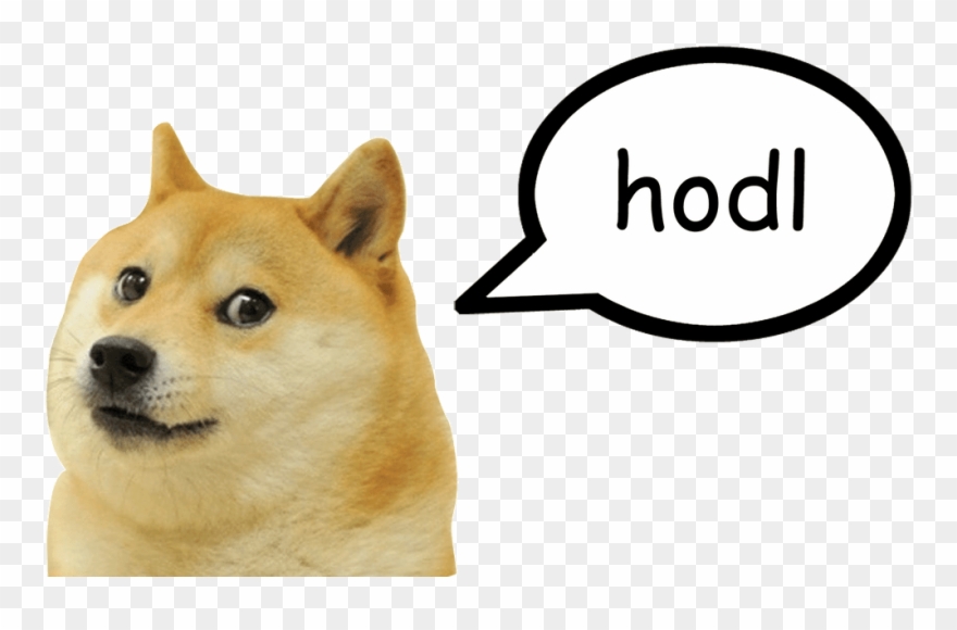 Doge Png.