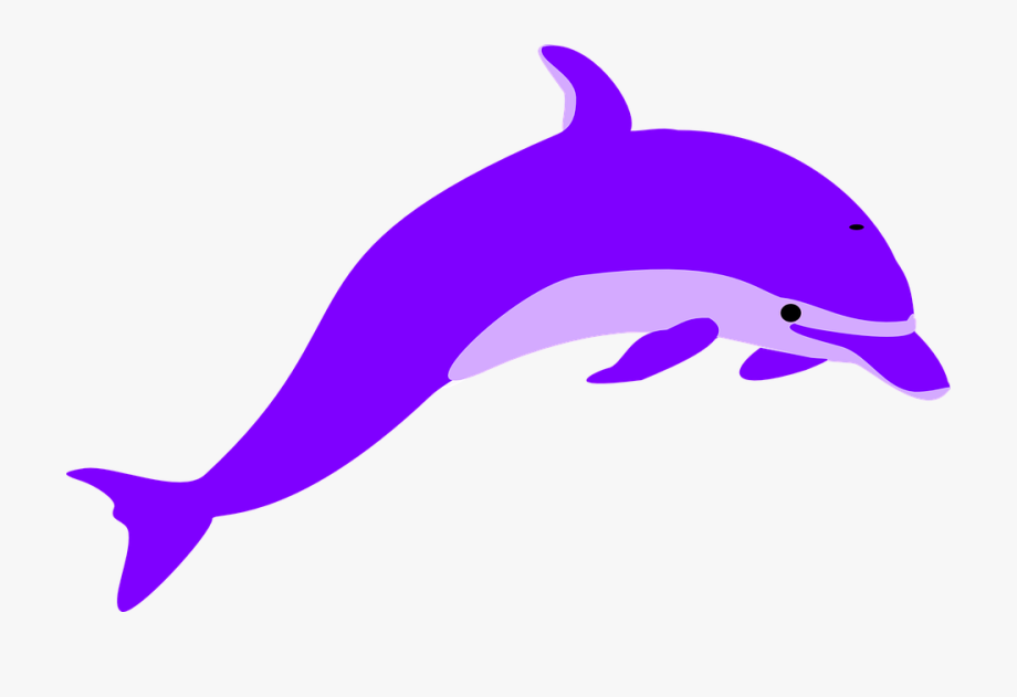 Clipart Dolphin.