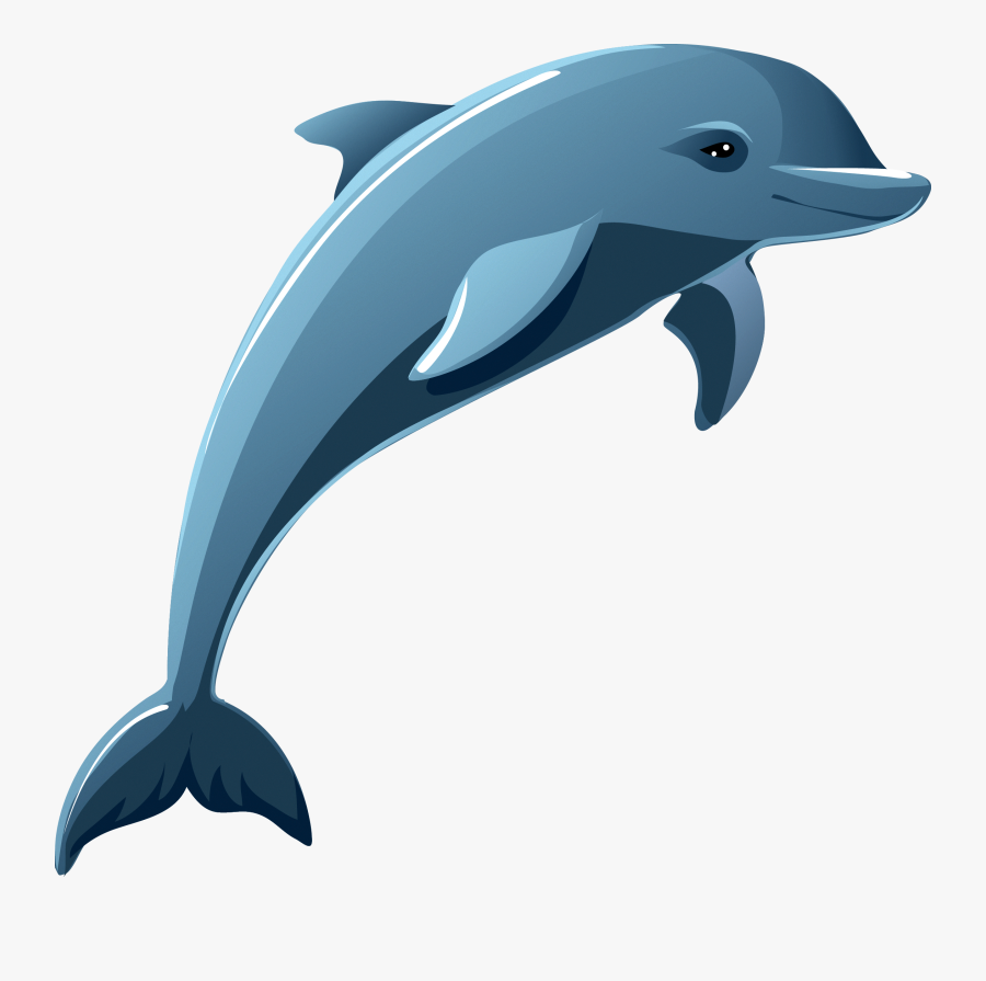 Transparent Dolphin.
