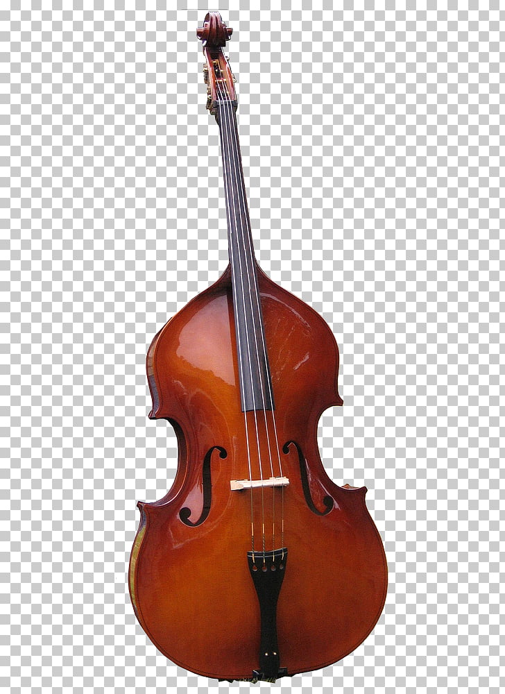 Double bass Bass guitar Cello Viola String Instruments, bass.