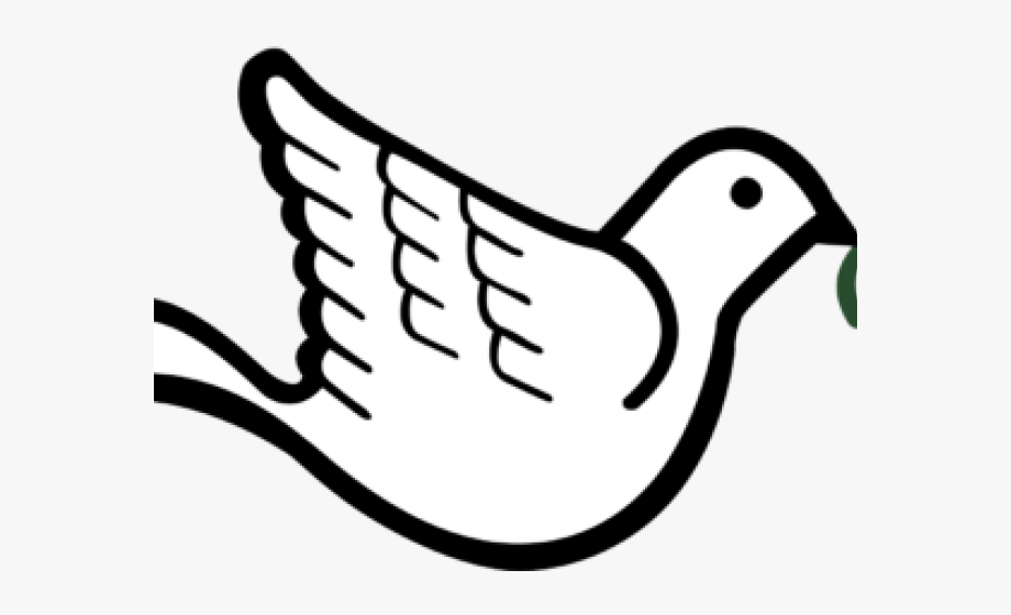 Dove With Olive Branch , Transparent Cartoon, Free Cliparts.