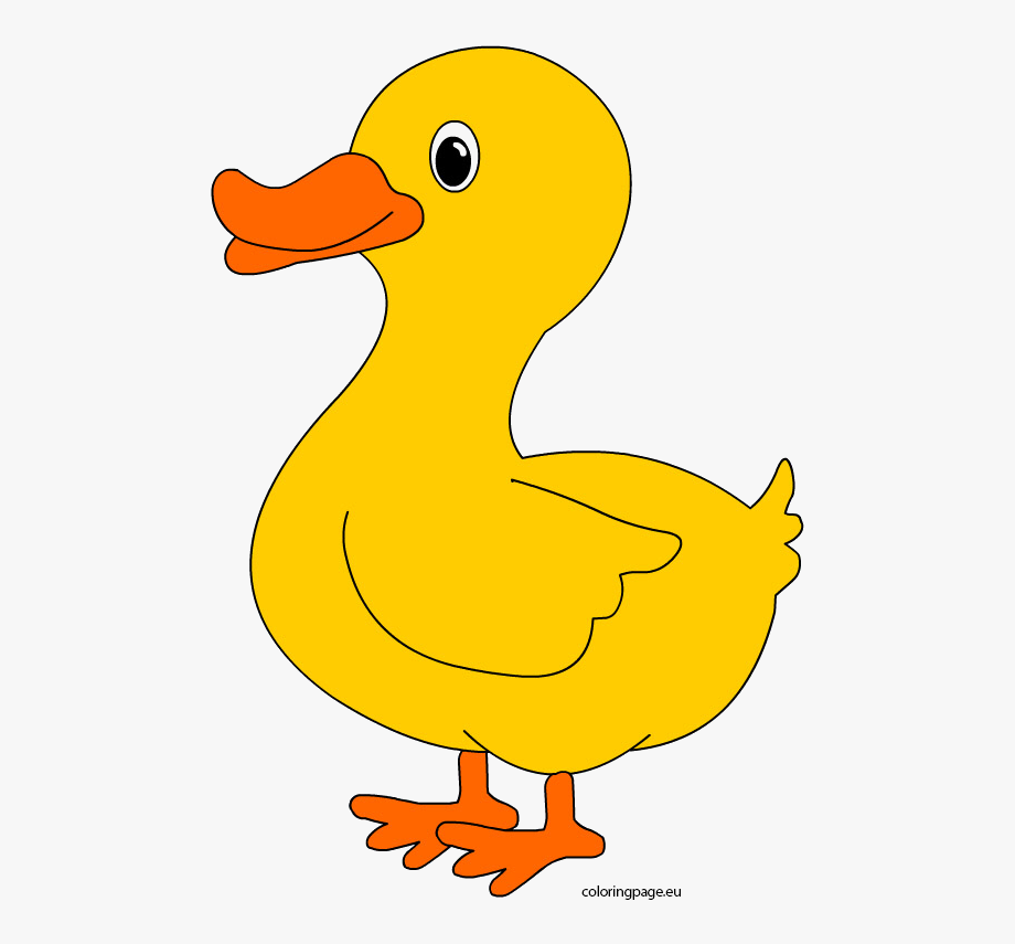 Duck Clipart Simple.