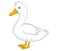 Clipart Images Of Duck.