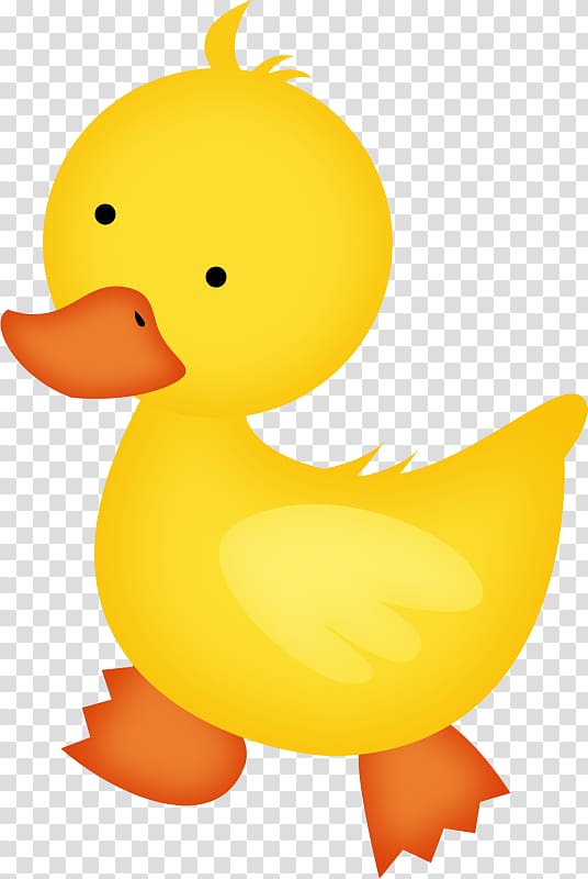 Yellow chick , Baby Ducks Baby Duckling , cartoon duck.