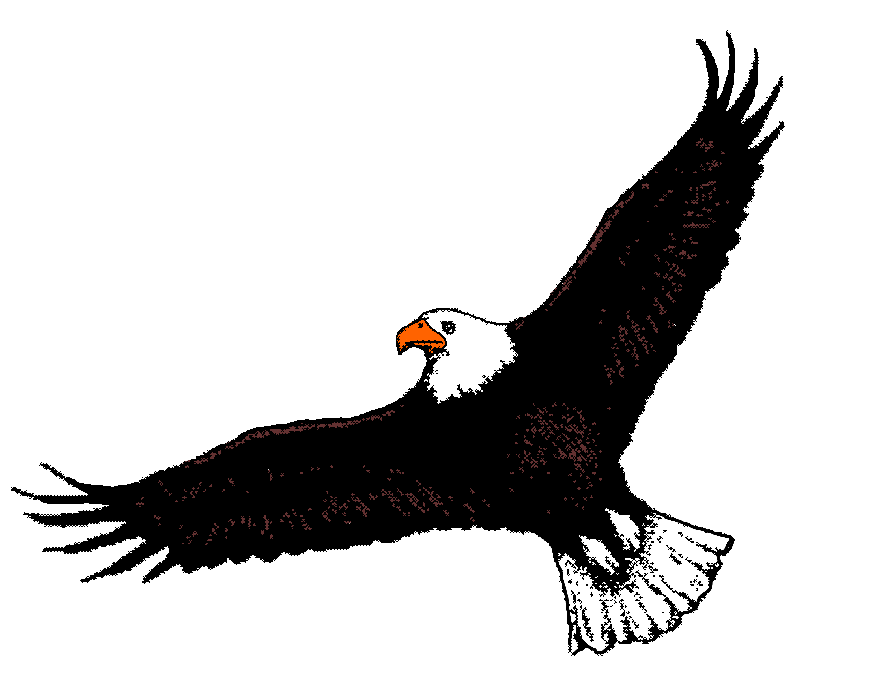 Free Eagle Flying Cliparts, Download Free Clip Art, Free Clip Art on.