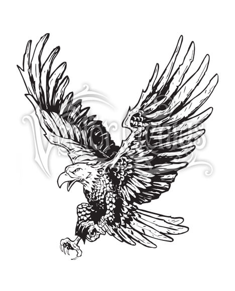 Flying Hand Drawn Eagle ClipArt.