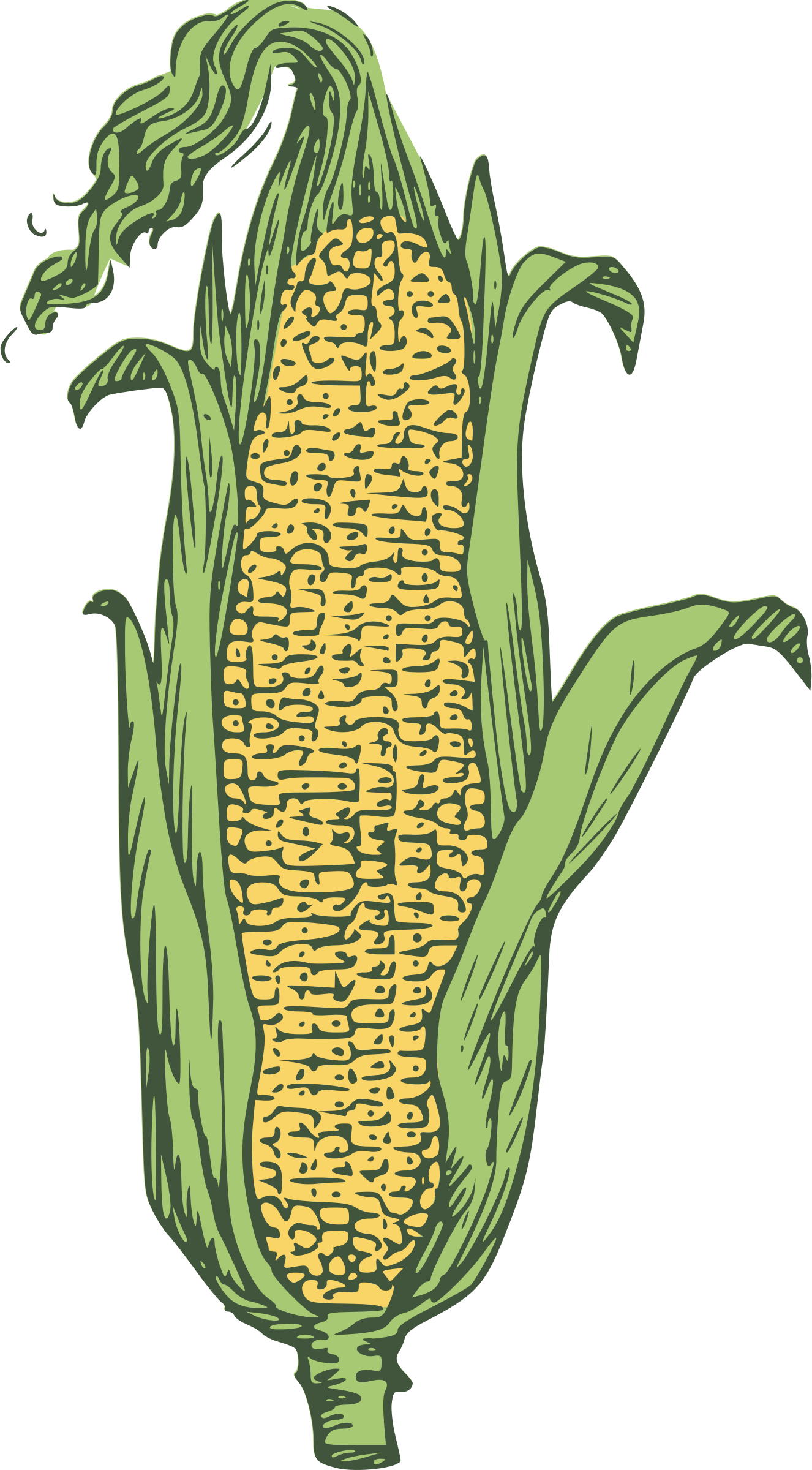 Candy corn Corn on the cob Popcorn Maize Ear.