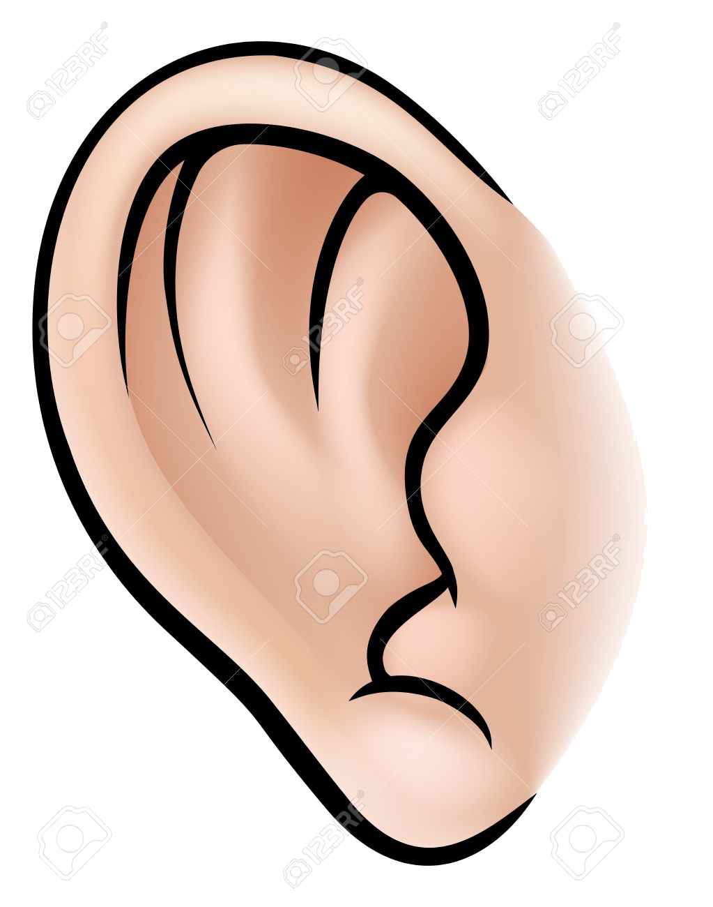 Ear An Illustration Of Human Body Part Clipart Ears Clip Art Png.