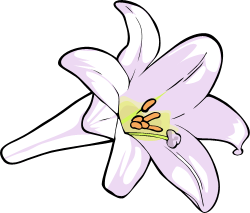 Free Easter Lily Cliparts, Download Free Clip Art, Free Clip.