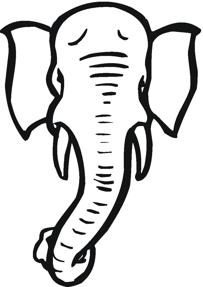 Elephant Head Designs.