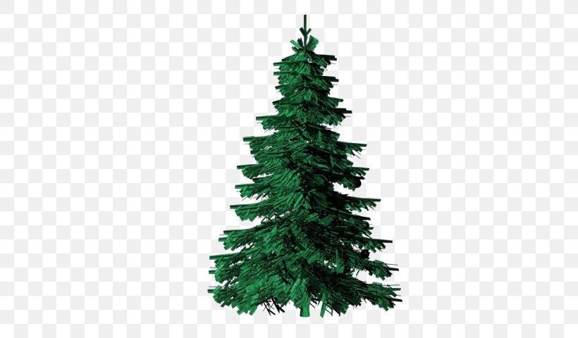 Evergreen Tree Pine Clip Art, PNG, 640x480px, Evergreen.