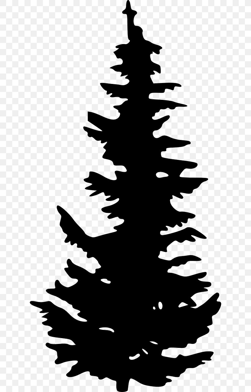 Evergreen Silhouette Tree Pine Clip Art, PNG, 640x1280px.