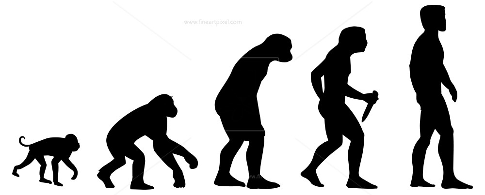 Evolution Clip Art