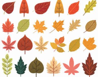 Free Fall Leaves Clip Art, Download Free Clip Art, Free Clip.