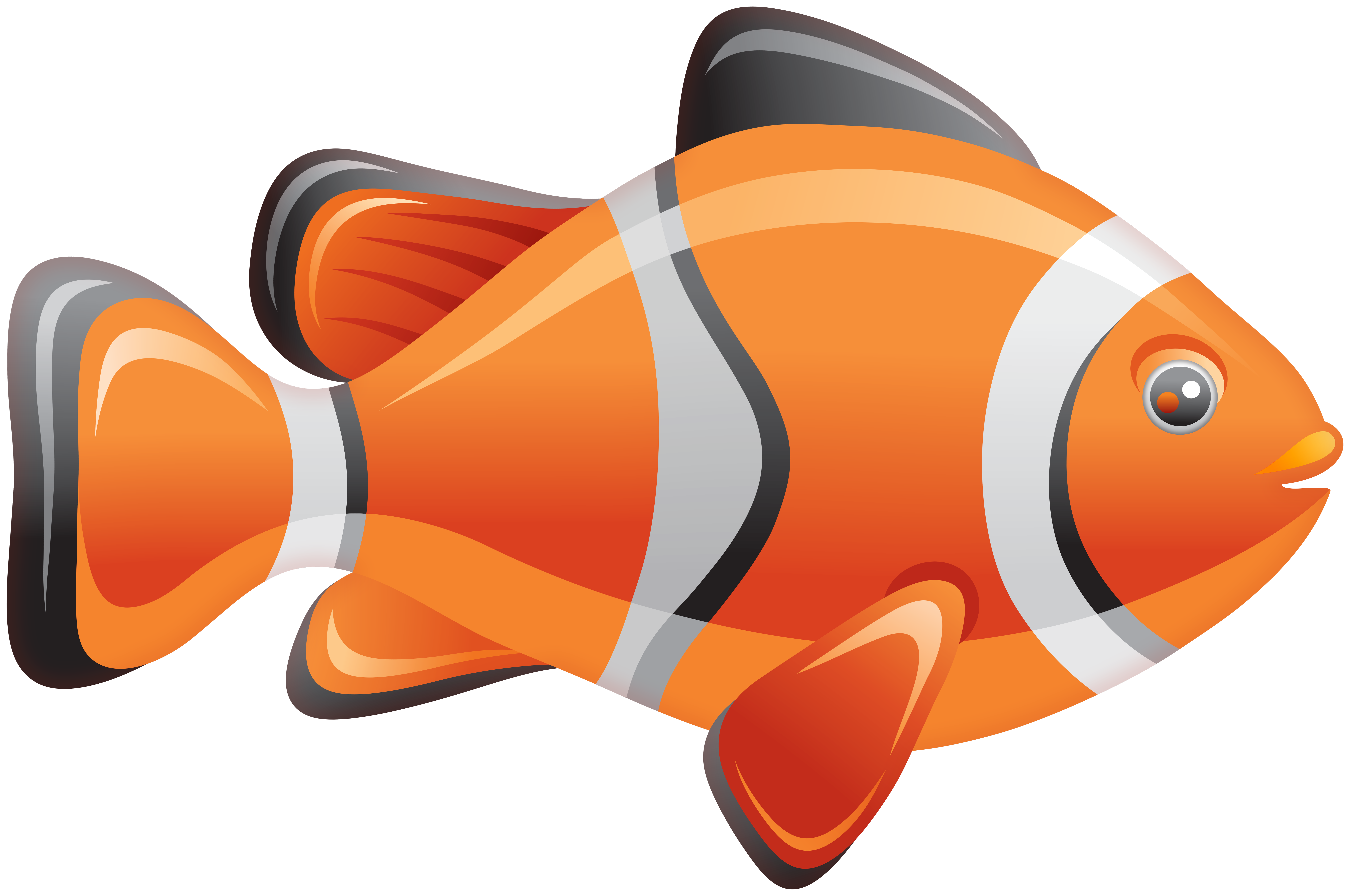 Clownfish Fish PNG Clip Art.