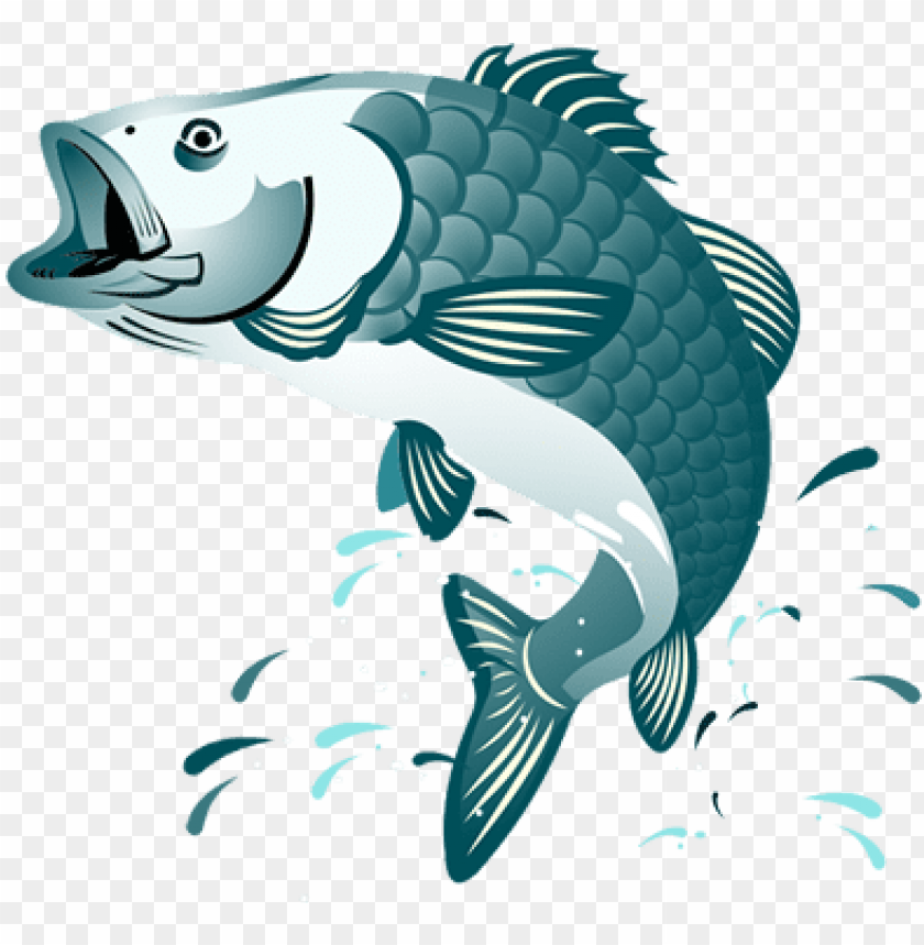 fish jumping clipart PNG image with transparent background.