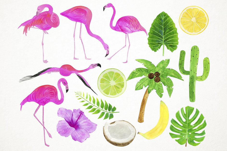 Watercolor Flamingos Clipart, Flamingo Clip Art By Paulaparaula.