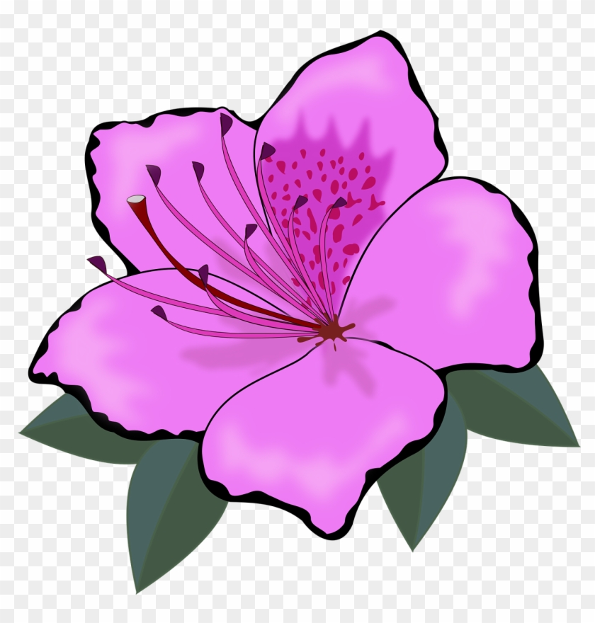 Clip Art, Flor, Flora, Flores, Flower, Nature, Plant.