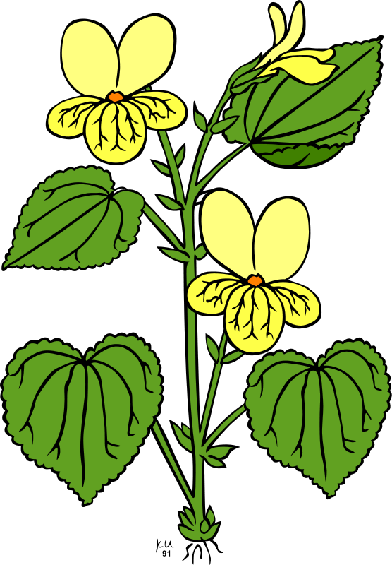 Flower Clipart Royalty FREE Images Gallery9.
