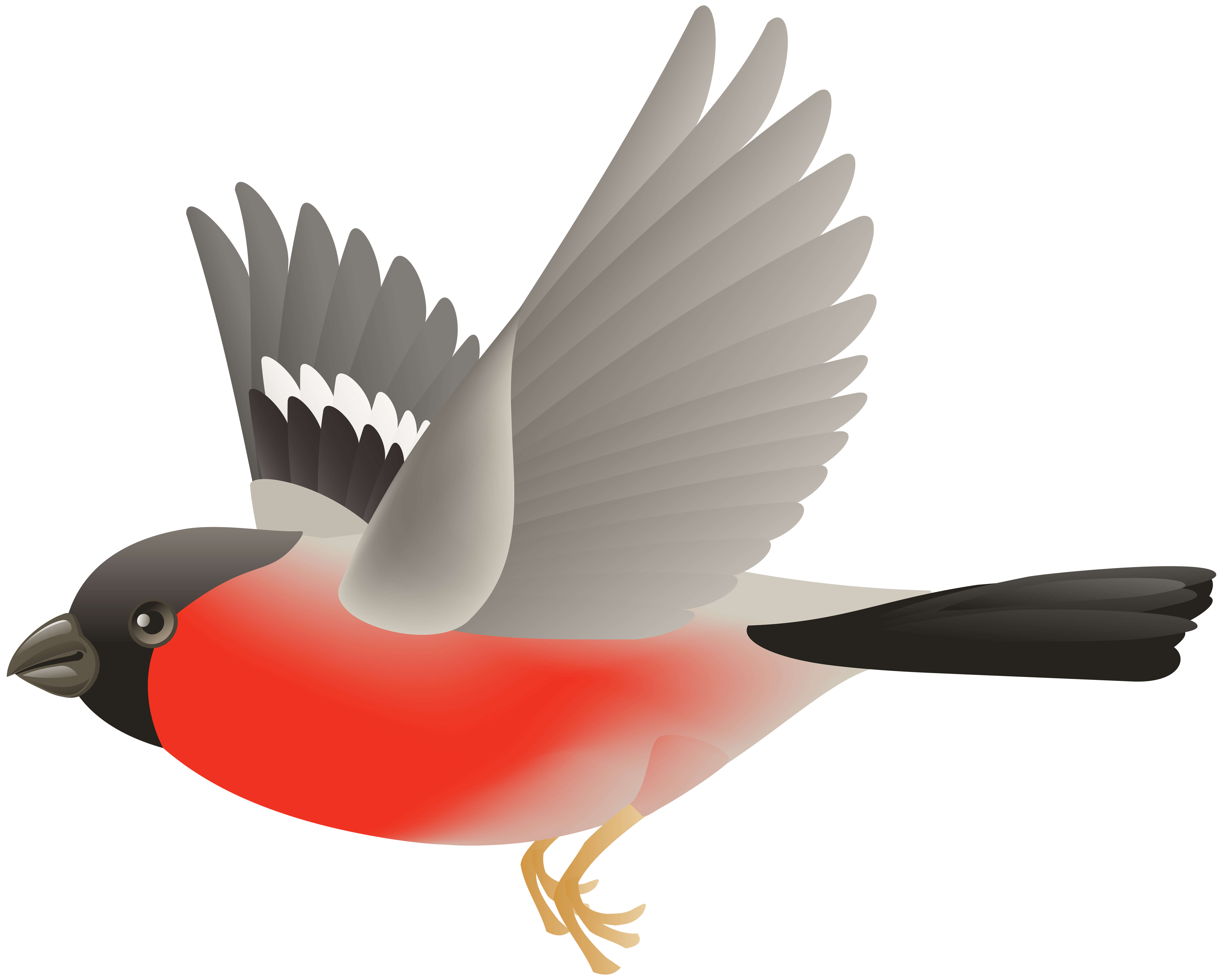 Red Flying Bird Transparent Clip Art Image.